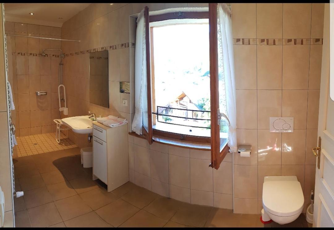 Hotel Plein Soleil Vacheresse Kültér fotó